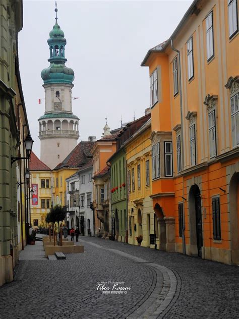 videkilany sopron|22 Best Things To Do In Sopron, Hungary